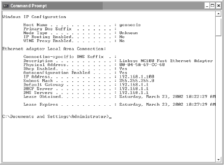 Инструмент ipconfig.exe можно использовать для проверки выданного IP-адреса.