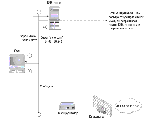 DNS-серверы действуют как каталоги, конвертируя URL в числовые IP-адреса